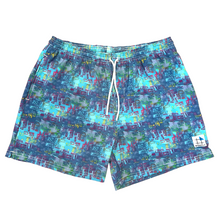 Load image into Gallery viewer, mens volley shorts
