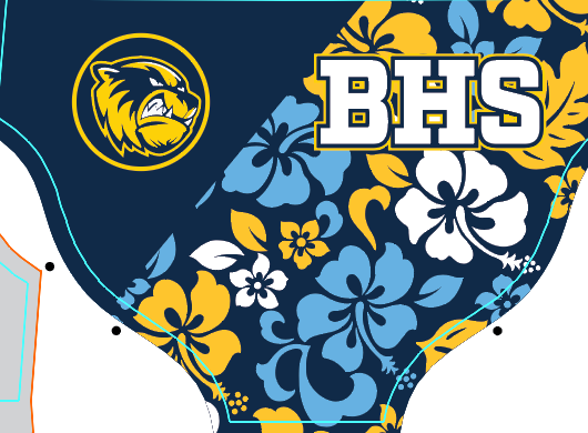 Bellevue Coach order